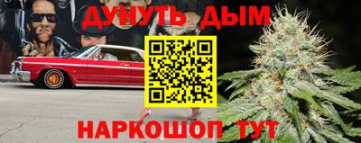 ешки Будённовск