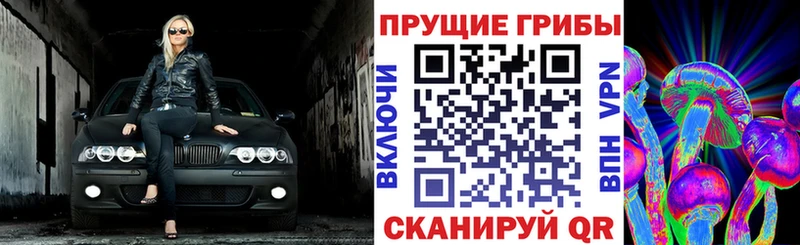 Галлюциногенные грибы Magic Shrooms  Арсеньев 