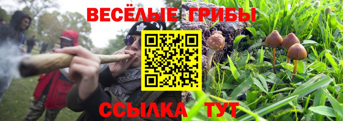Псилоцибиновые грибы GOLDEN TEACHER Арсеньев